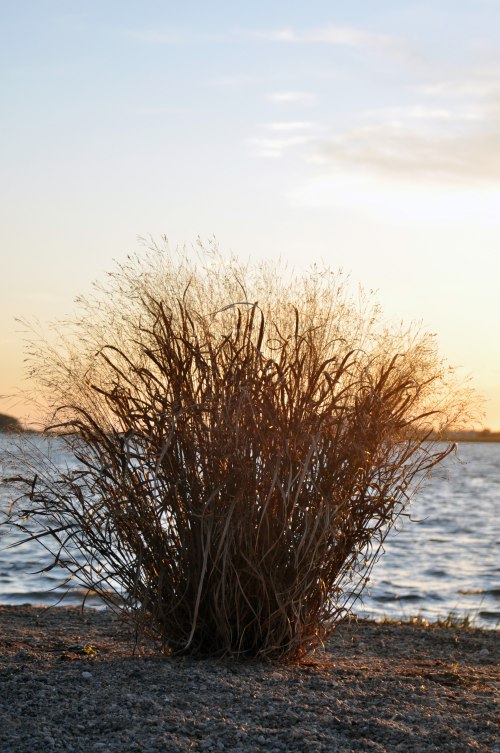 Sunset at Bluff Point, Groton, CT