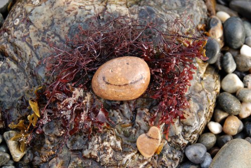 Little Red-headed Friend With a Heart of Gold