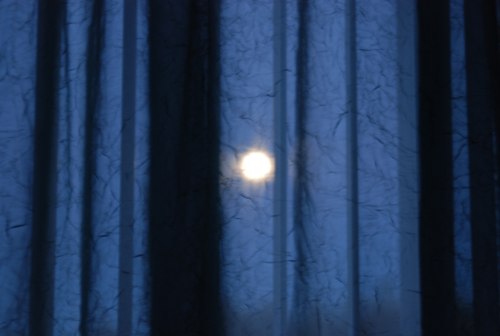 Moonlit Curtain